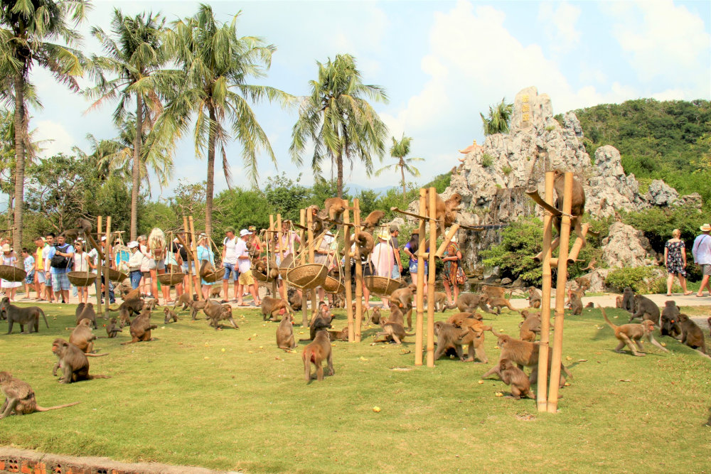 Tour packages, which include transportation, meals, and guided tours, may cost more but are highly convenient for visitors who prefer a hassle-free experience